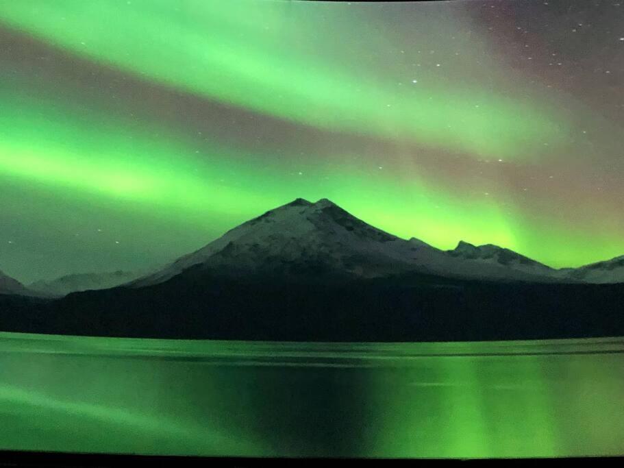 Northern Light Tromsø Esterno foto